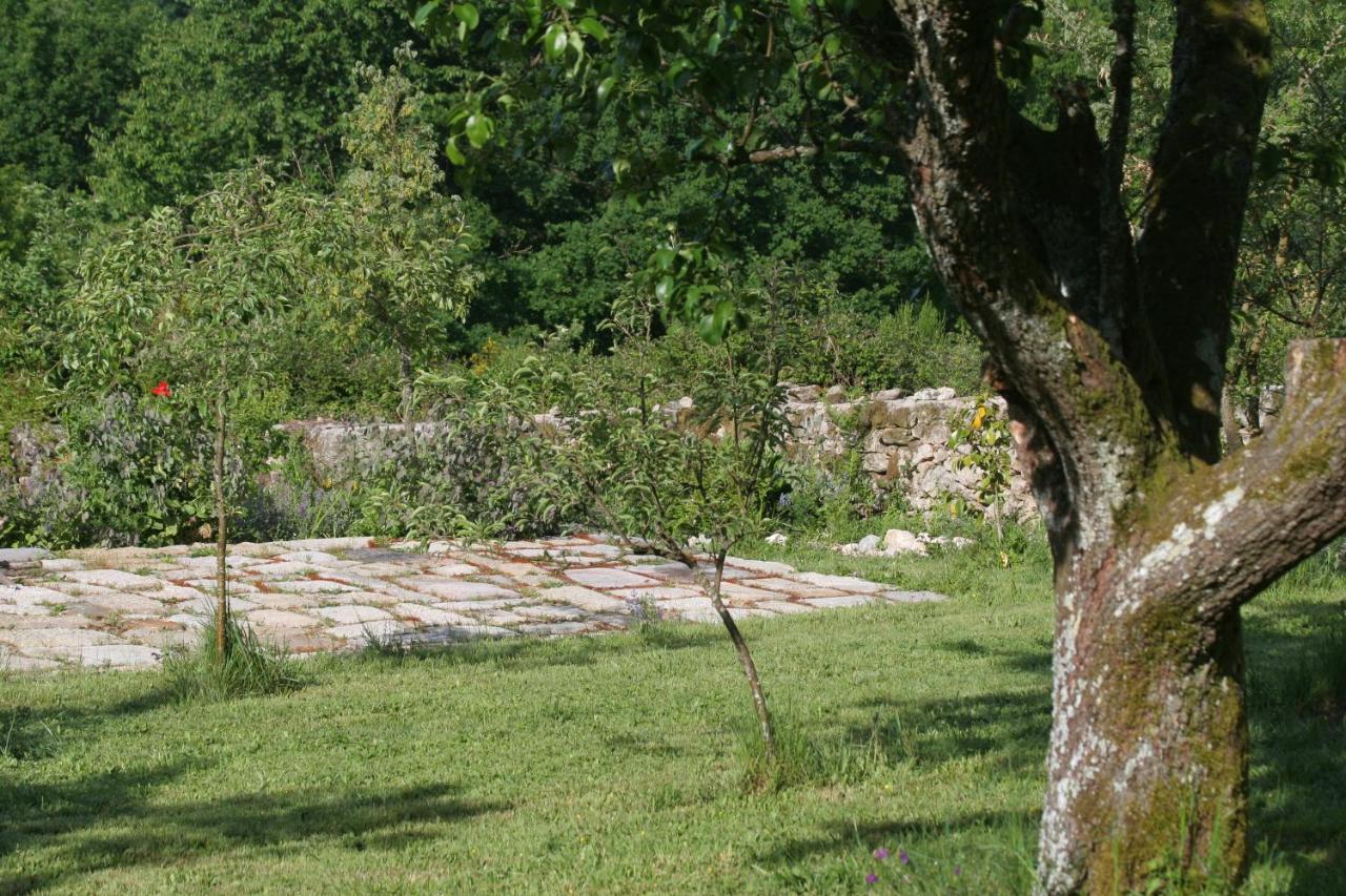 Pazo De Chaioso Ribeira Sacra Maceda ภายนอก รูปภาพ