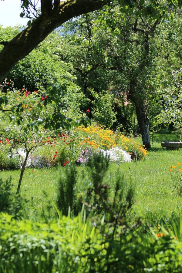 Pazo De Chaioso Ribeira Sacra Maceda ภายนอก รูปภาพ