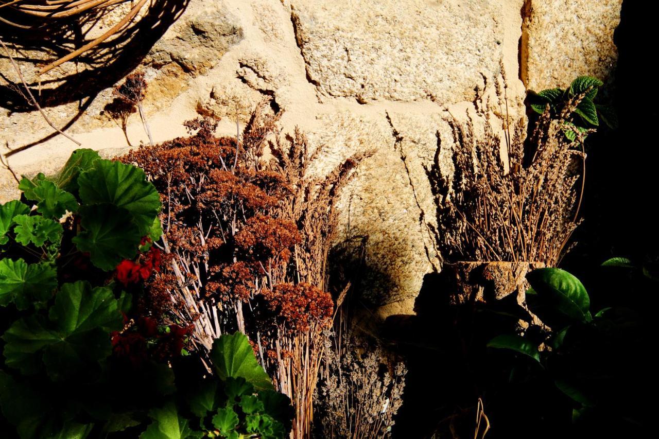 Pazo De Chaioso Ribeira Sacra Maceda ภายนอก รูปภาพ